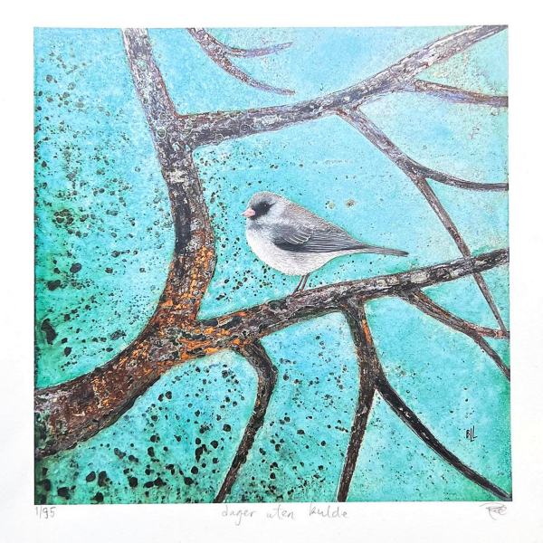 dager uten kulde av Birte Lohne